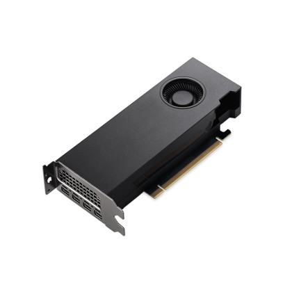 NVIDIA RTX 2000 Ada Generation Professional (Bulk)