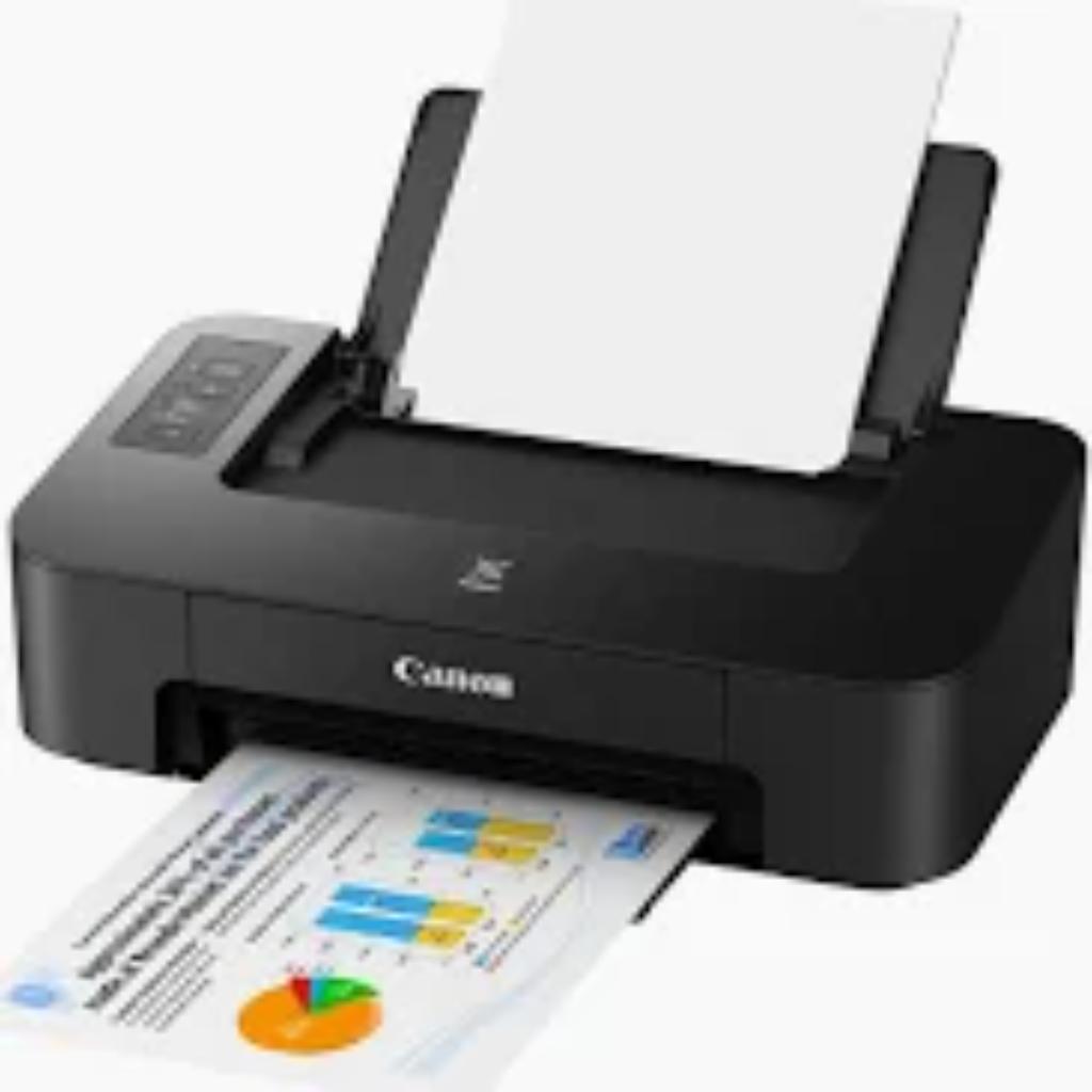 Canon PIXMA TS207 Inkjet Printer