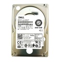 Dell 300GB SAS 12 Gb/s 2.5 inches 10000RPM HDD